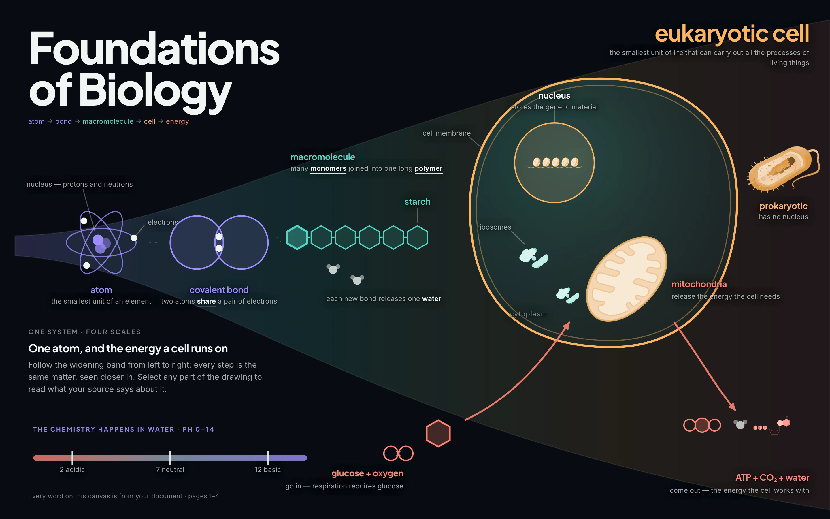 A BrainLeaf Visualize canvas titled Foundations of Biology, tracing atoms, molecules and a eukaryotic cell.
